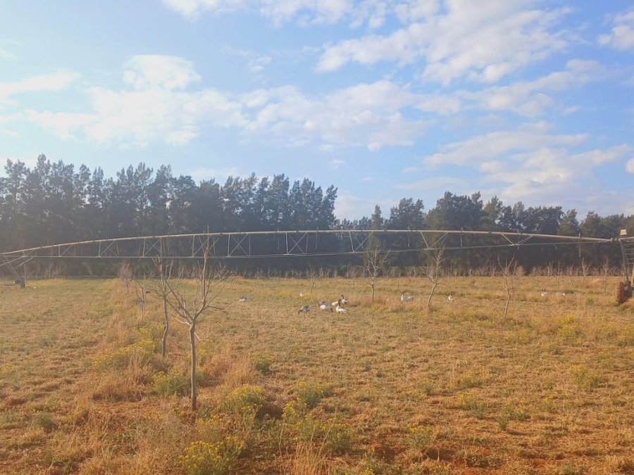 6 Bedroom Property for Sale in Hartswater Northern Cape